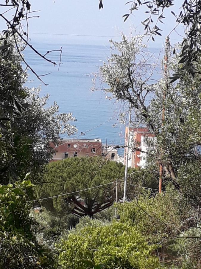 Tigullio Vacations Panoramica Apartments Lavagna Bagian luar foto